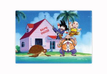 dragon-ball-magnet-kame-house-1.jpg